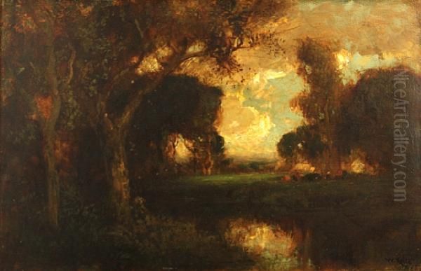 Trees Along A Water's Edge - view 1