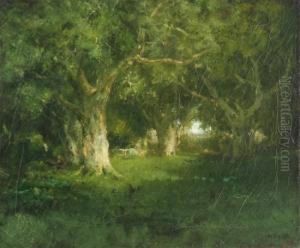 The Quietwoods