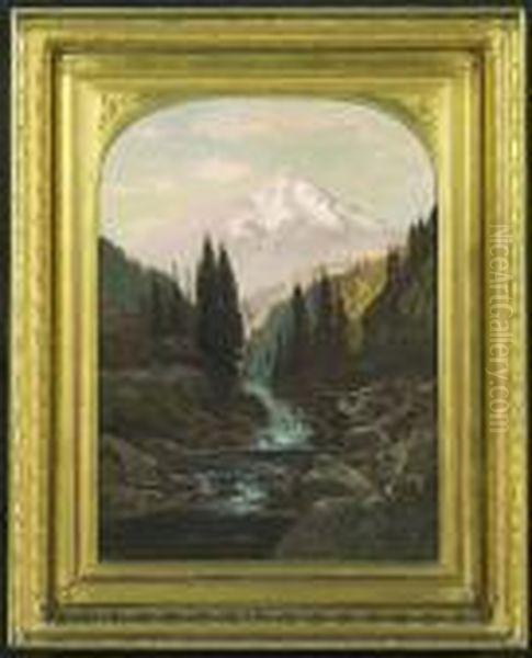 Mt. Shasta - view 1