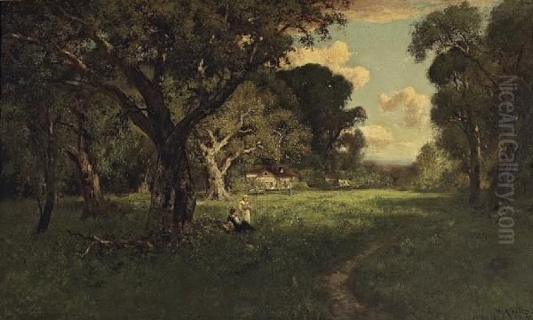 A Forest Glade - view 1