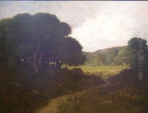Oaks Near San Rafael, California