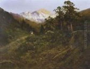 Trail Of The Lonesome Pines