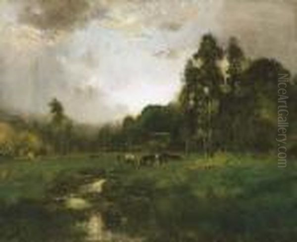 Cows Grazing In A Meadow - view 1