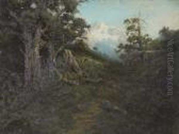 A Wooded Landscape With Snow-covered Mountains In The Distance - view 1