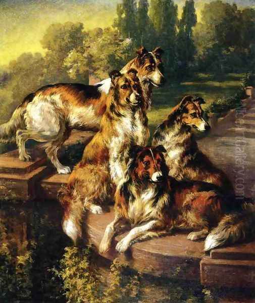 Collie Dogs in Formal Garden - view 1