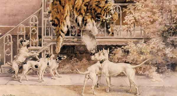 Hunting Tigers, the Terriers - view 1