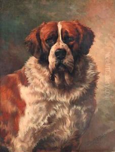 St. Bernard by Edmund Henry Osthaus