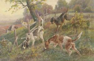 Pointers in Autumn Landscape Pointers in Autumn Landscape