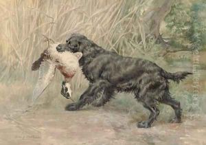 A Spaniel with a Mallard