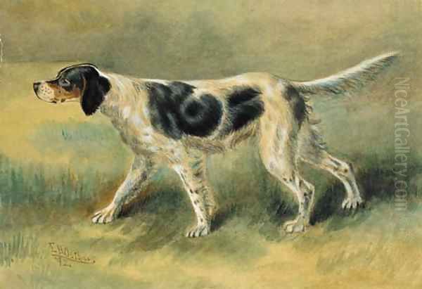 An English Setter - view 1
