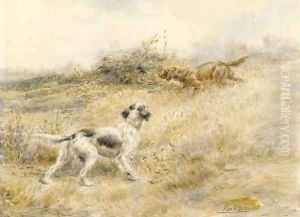 English Setters pointing English Setters pointing