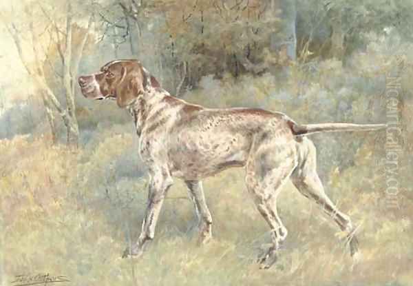 German Short Hair Pointer - view 1