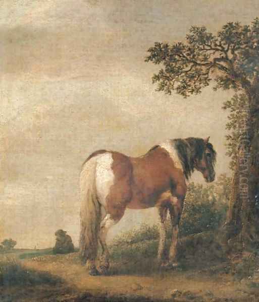A horse in a landscape - view 1
