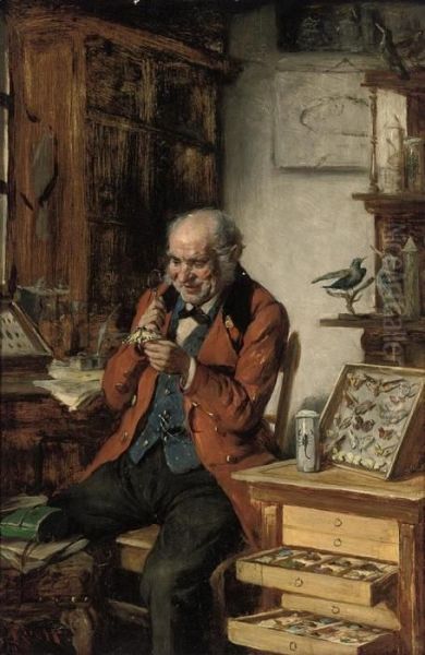 The Zoologist - view 1