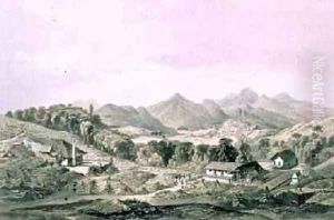 Peacock Hill Coffee Estate with Gampola in the distance Ceylon 1864