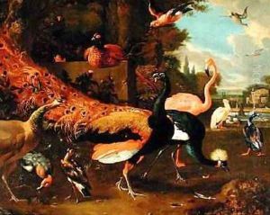 Ornamental Fowl by Adriaen van Oolen