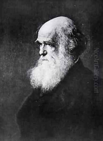 Charles Darwin, print after the painting by W.W. Ouless, illustration from The History of the Nation - view 1