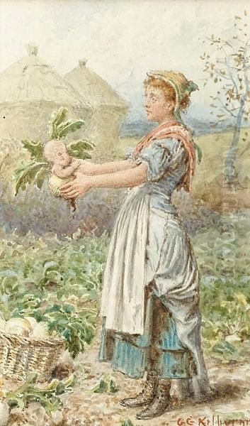 Turnip Babies - view 1