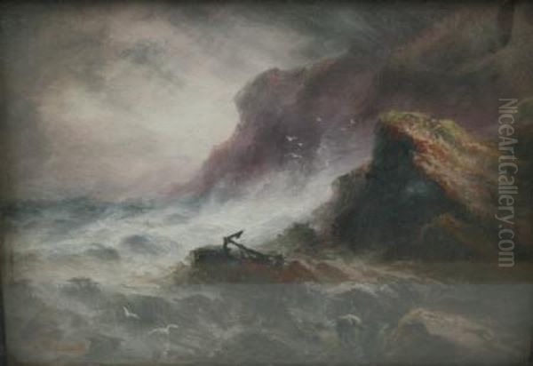 Coastal Scene - view 1