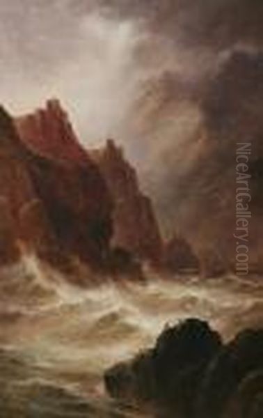A Stormy Coastal Scene With Birds To The Fore On Rocks, Cliffs Beyond, Signed - view 1
