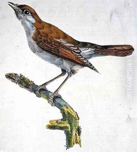 The Nightingale of France, c.1830