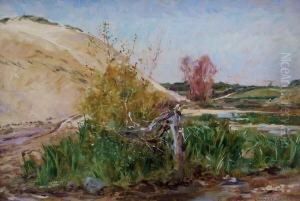 Landschaft Landschaft