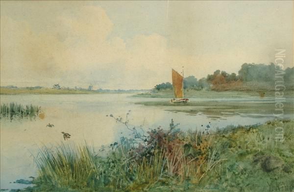 King, Rba, Ri, Roi On The Norfolk Broads - view 1