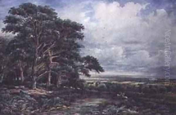 Bradgate Park near Leicester - view 1