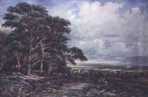 Bradgate Park near Leicester by James Orrock