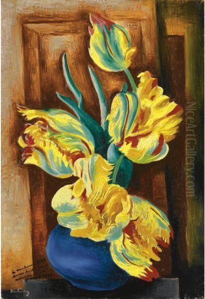 Tulipes - view 1