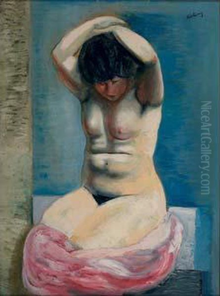 Nu Aux Bras Leves - view 1