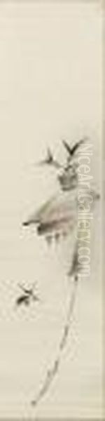 Toy And Sparrow - view 1