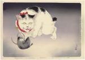 Happo Hakugan Neko Happo Hakugan Neko