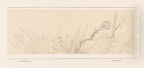 Stachelfrucht - view 1