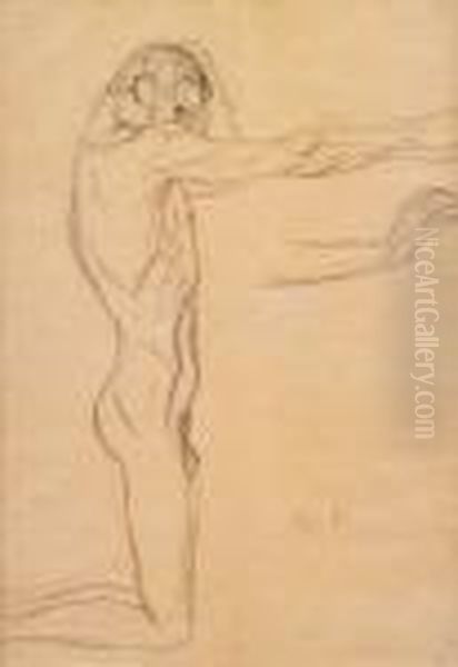 Studia Muza - view 1