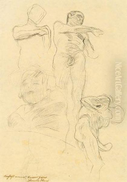 Studien Fur Das Fakultatsbild "medizin" Fur Den 1. Zustand - view 1