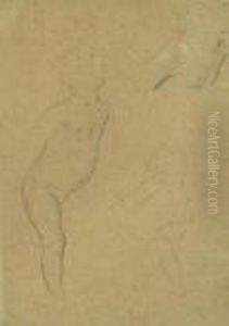45.4 X 31.3 Cm