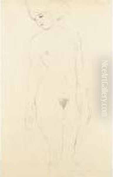Akt Von Vorne, Das Gesicht Nach
Links Gedreht (nude Seen From The Front, Face Turned Left) - view 1