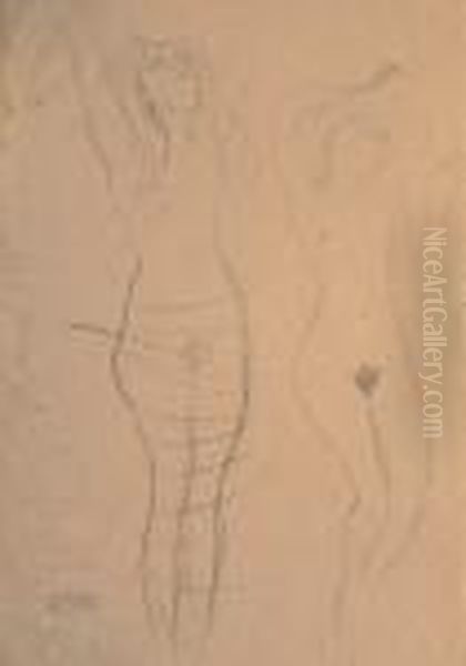 Studie Divciho Akt - view 1