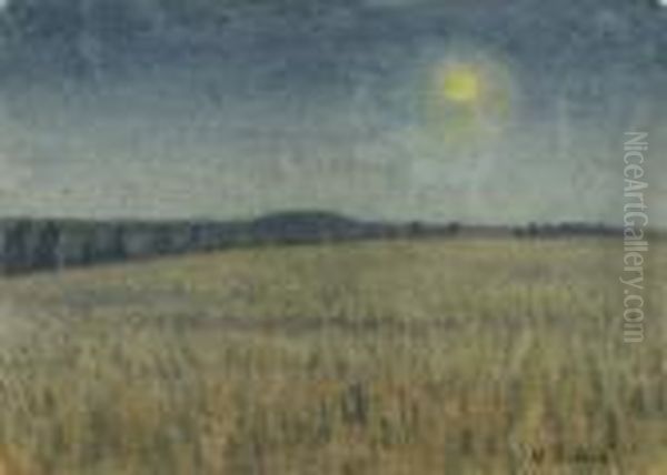 Feld Im Mondschein - view 1