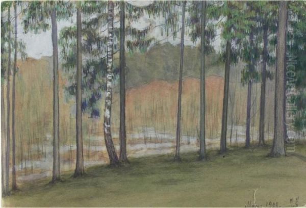 Birken Am Waldrand - view 1