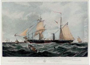 The Steamship Cyclops The Steamship Cyclops