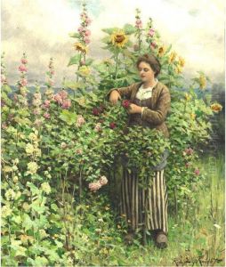 Woman Cutting Flowers by Daniel Ridgway Knight