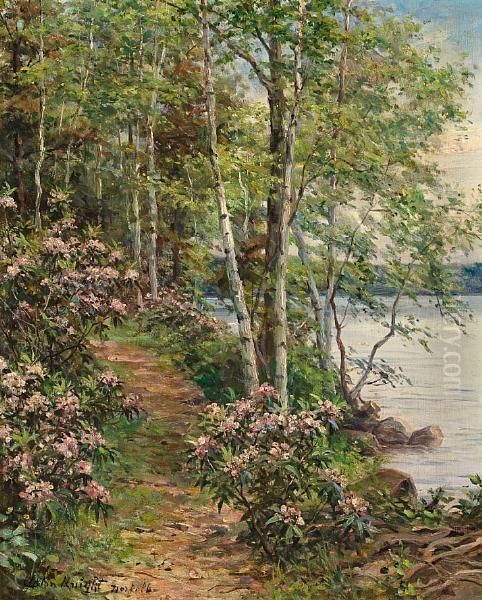 Mountain Laurel, Norfolk - view 1
