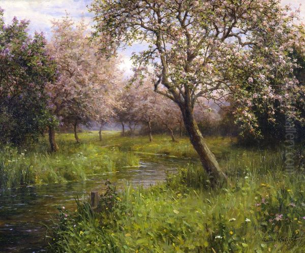 Apple Blossoms - view 1