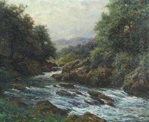 Mountain Stream