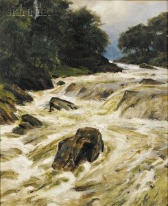 Rapids Rapids