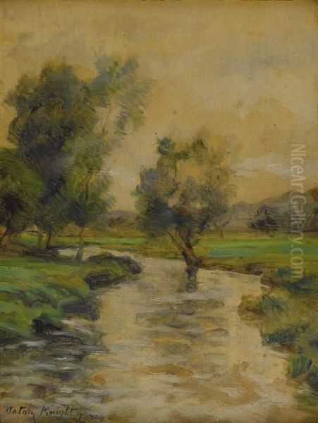 Meandering Stream - view 1