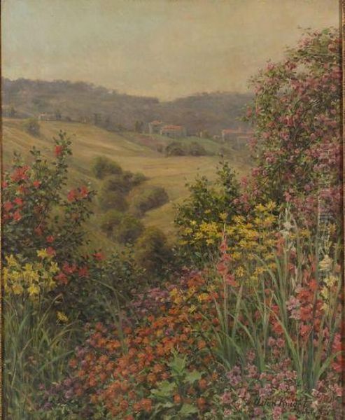 California Flowers - view 1