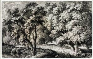 Der Breite Weg Durch Denwald